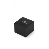 Ferro Black Steel Strap Mens Wristwatch FM31455A-R