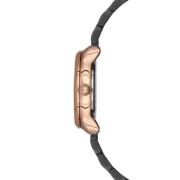 Ferro Black Steel Strap Womens Wristwatch F21152A-R