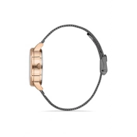 Ferro Black Mesh Strap Womens Wristwatch F21934C-Q