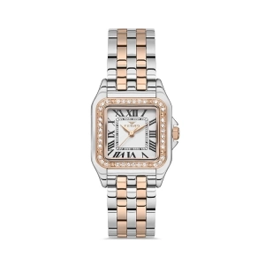 Ferro Rose ve Gümüş Çelik Kordon Kadın Kol Saati FL40112A-E