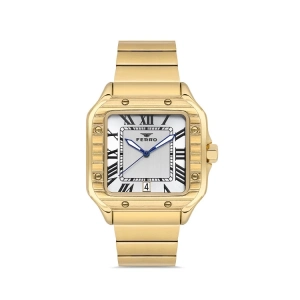 Ferro Sarı Çelik Kordon Erkek Kol Saati F11448A-B 3 ATM Su Geçirmez 2 Yıl Garantili Hediye Paketli