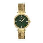 Ferro Yellow Wicker Kordon Womens Wristwatch FL21327C-B6
