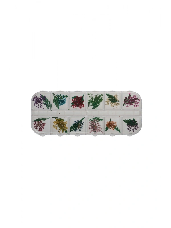 Nail Art Süsleme Yapraklı Kuru Çiçek