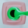 Kalıcı Oje (Gel Polish) 12 ml No:198