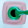 Kalıcı Oje (Gel Polish) 12 ml No:199