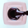 Kalıcı Oje (Gel Polish) 12 ml No:210