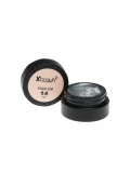 Paint Gel No:14 Silver 10 gr