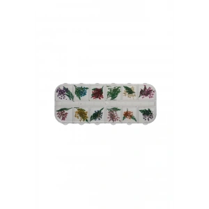 Nail Art Süsleme Yapraklı Kuru Çiçek