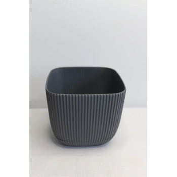 Karasu Mercan Kare Saksı No:2