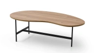 Duet Coffee Table