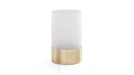 Frosted Glass Matte Gold Medium Vase