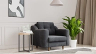 Robin Armchair
