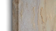 Marble Cream Painting