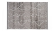 Hoyt Carpet