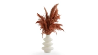 Doğtaş Home Terracotta Pampas