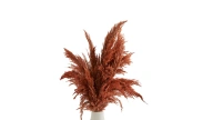 Doğtaş Home Terracotta Pampas