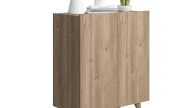Forte Shoe Cabinet Oak