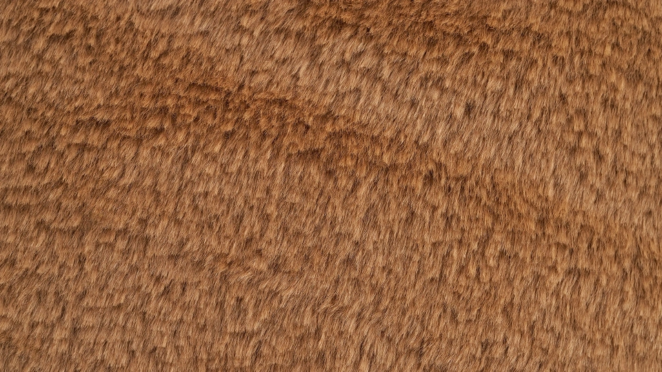 Doğtaş Home Vizon Plush Cushion