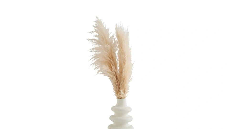 Doğtaş Home Cotton Pampas