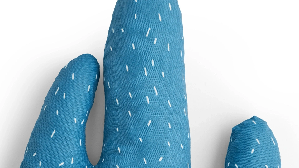 Cactus Pillow