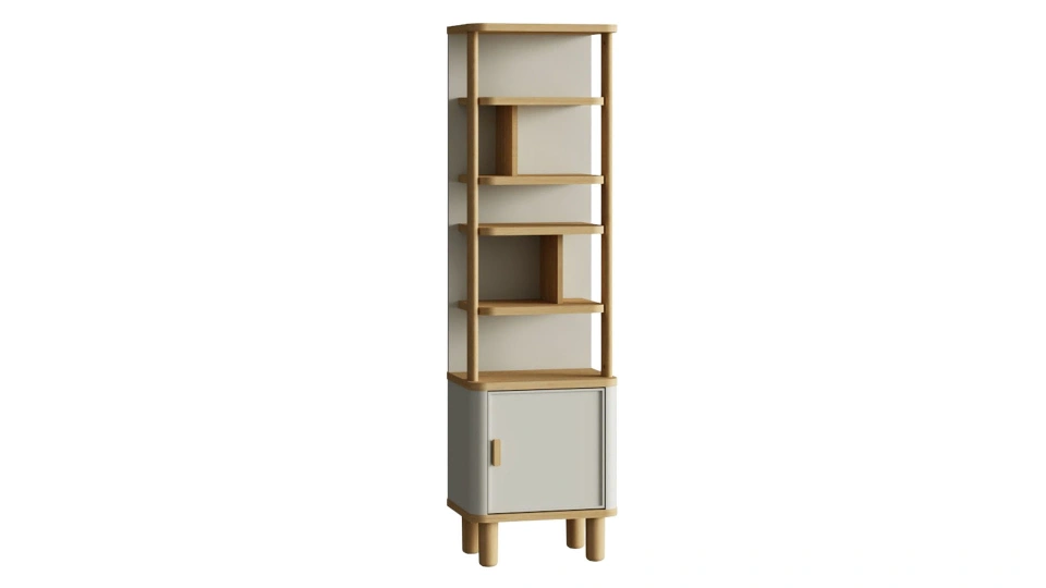 North Bookcase