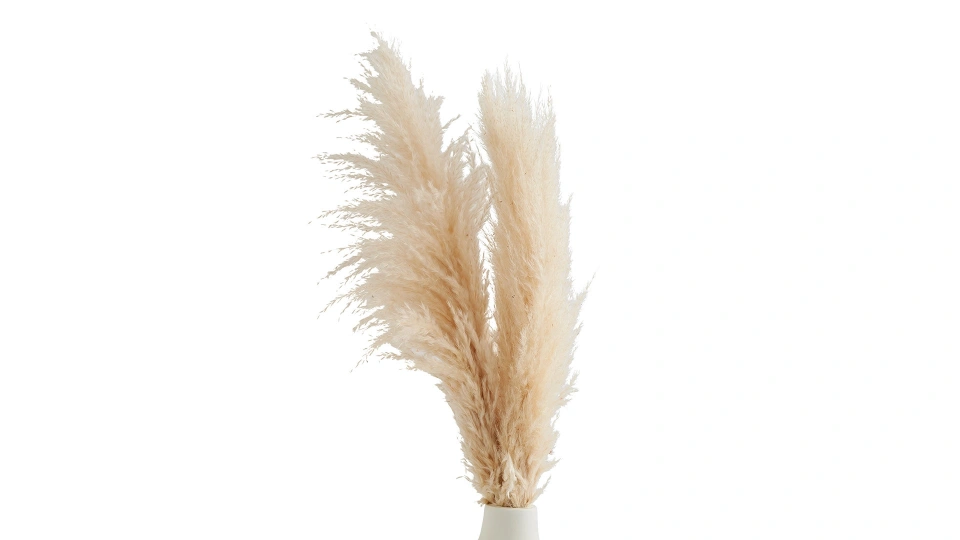 Doğtaş Home Pamuklu Pampas