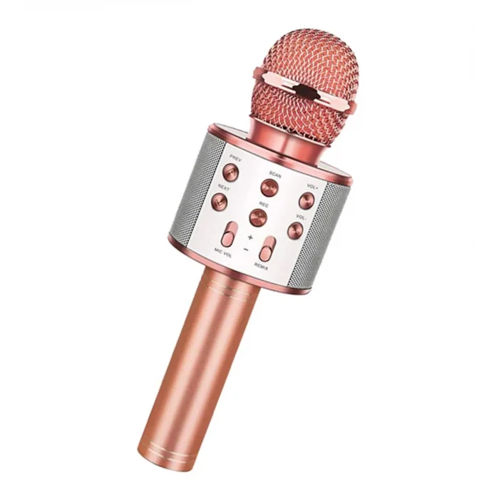 Bluetooth Karaoke Mikrofon (5124)