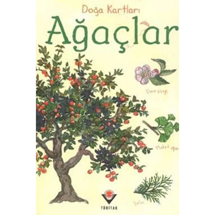Doğa Kartları - Ağaçlar