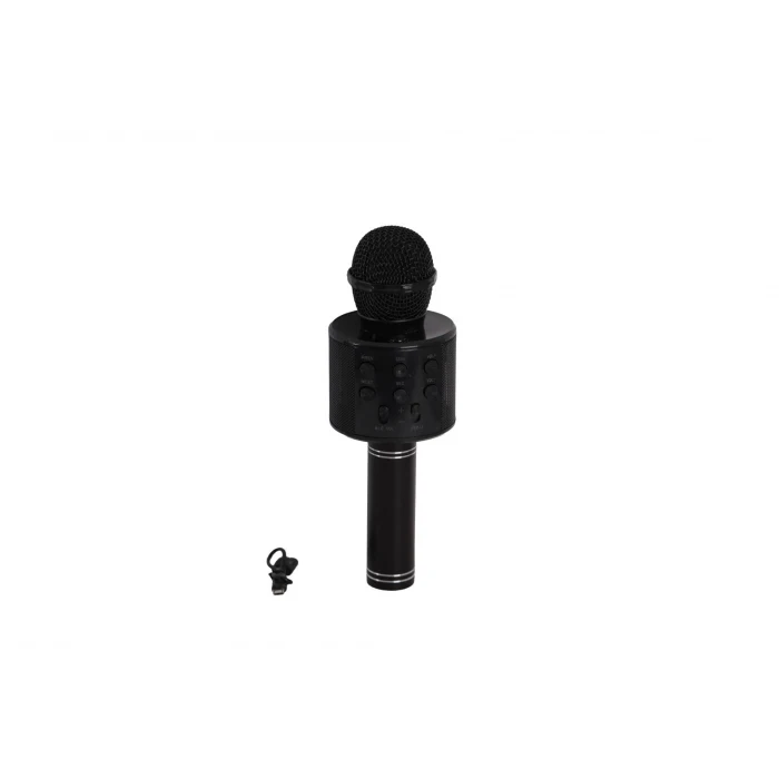 EMR-101 KUTULU KARAOKE MİKROFON