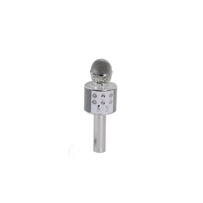 EMR-101 KUTULU KARAOKE MİKROFON