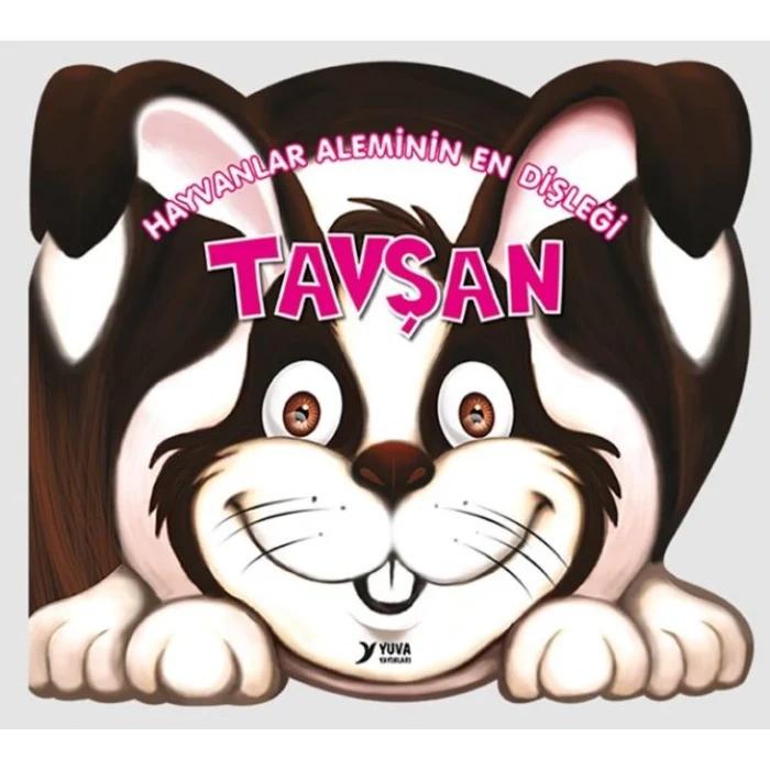 Hayvanlar Aleminin En Dişleği : Tavşan