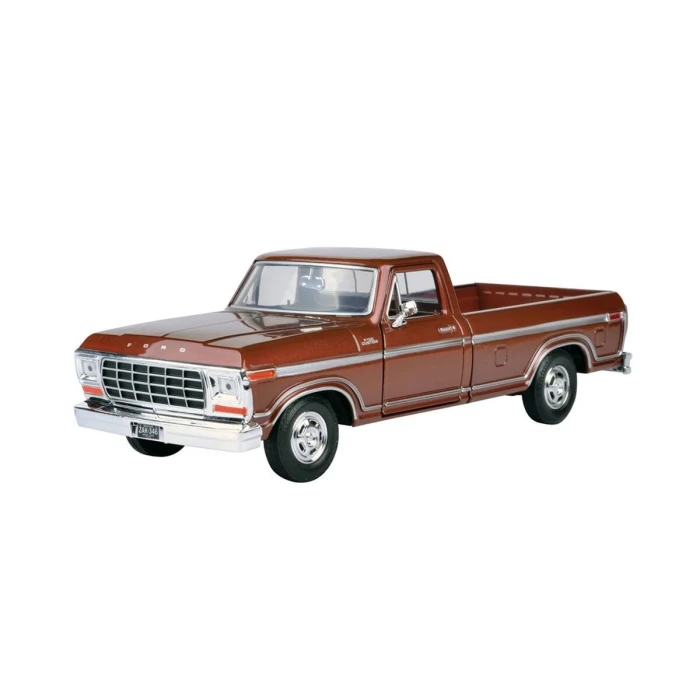MM-79646 1 24 1979 GORD F-100 CUSTOM