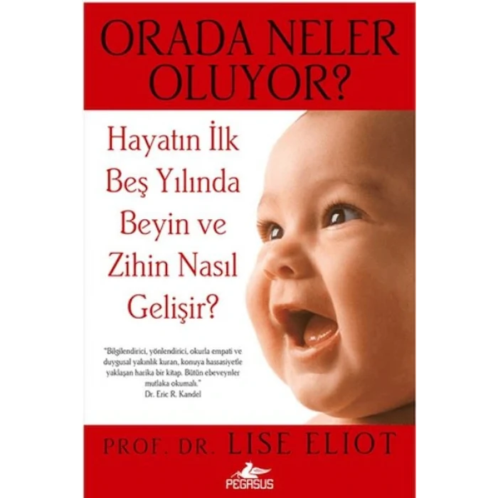 Orada Neler Oluyor