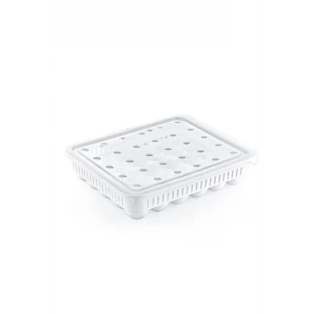 30&apos;lu Yumurta Saklama Kabı (5124)