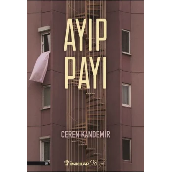 Ayıp Payı