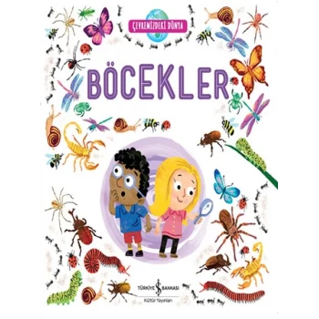 Çevremizdeki Dünya - Böcekler
