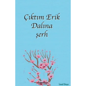 Çıktım Erik Dalına şerh