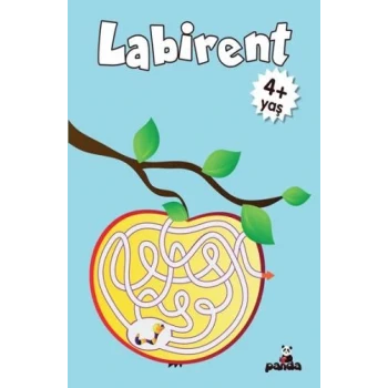 Labirent 4 Yaş