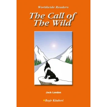 Level 4 - The Call of The Wild