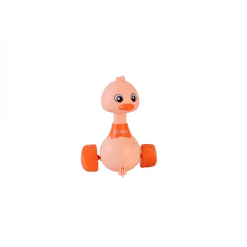 LG188139 DİSPLAYDE BASBIRAK ÖRDEK 72