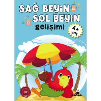 Sağ Beyin-Sol Beyin Gelişimi 4+ Yaş    