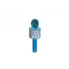 EMR-101 KUTULU KARAOKE MİKROFON