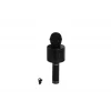 EMR-101 KUTULU KARAOKE MİKROFON