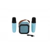 EMR-102 KUTULU 2Lİ KARAOKE MİKROFON