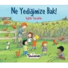 Ne Yediğimize Bak Sağlıklı Yiyecekler