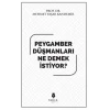 Peygamber düşmanları ne demek istiyor?