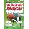 Şu Acayip Sinekler