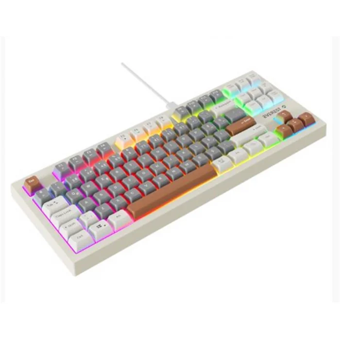 Everest KB-98 SILENT TKL Gri Mavi-Gri-Kahve Rainbow Q Membrane Klavye
