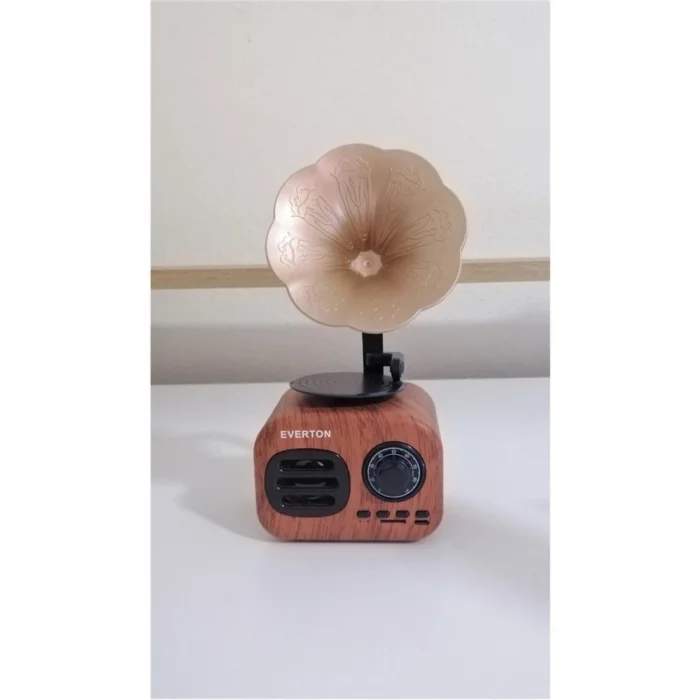 Everton Rt-705Bt Bluetooth -TfCard Nostalji FM Radyo