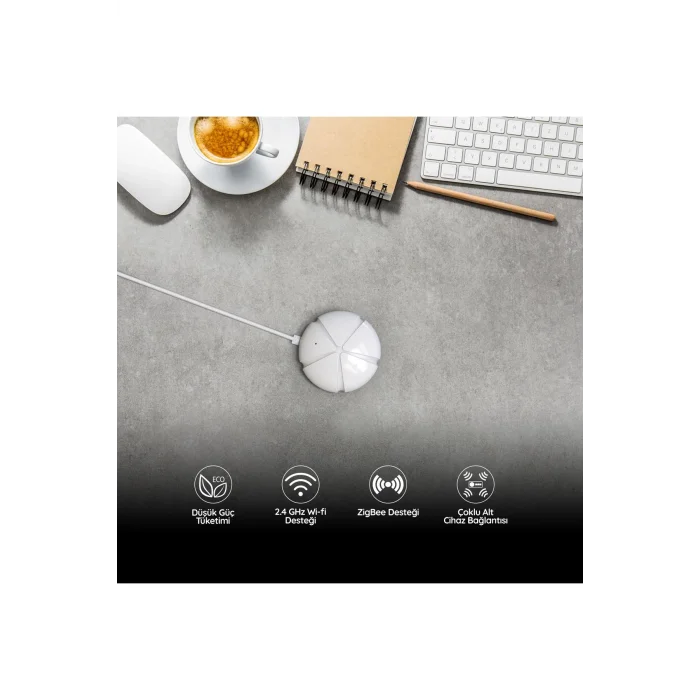 Bilicra Link Zigbee Ağ Geçidi